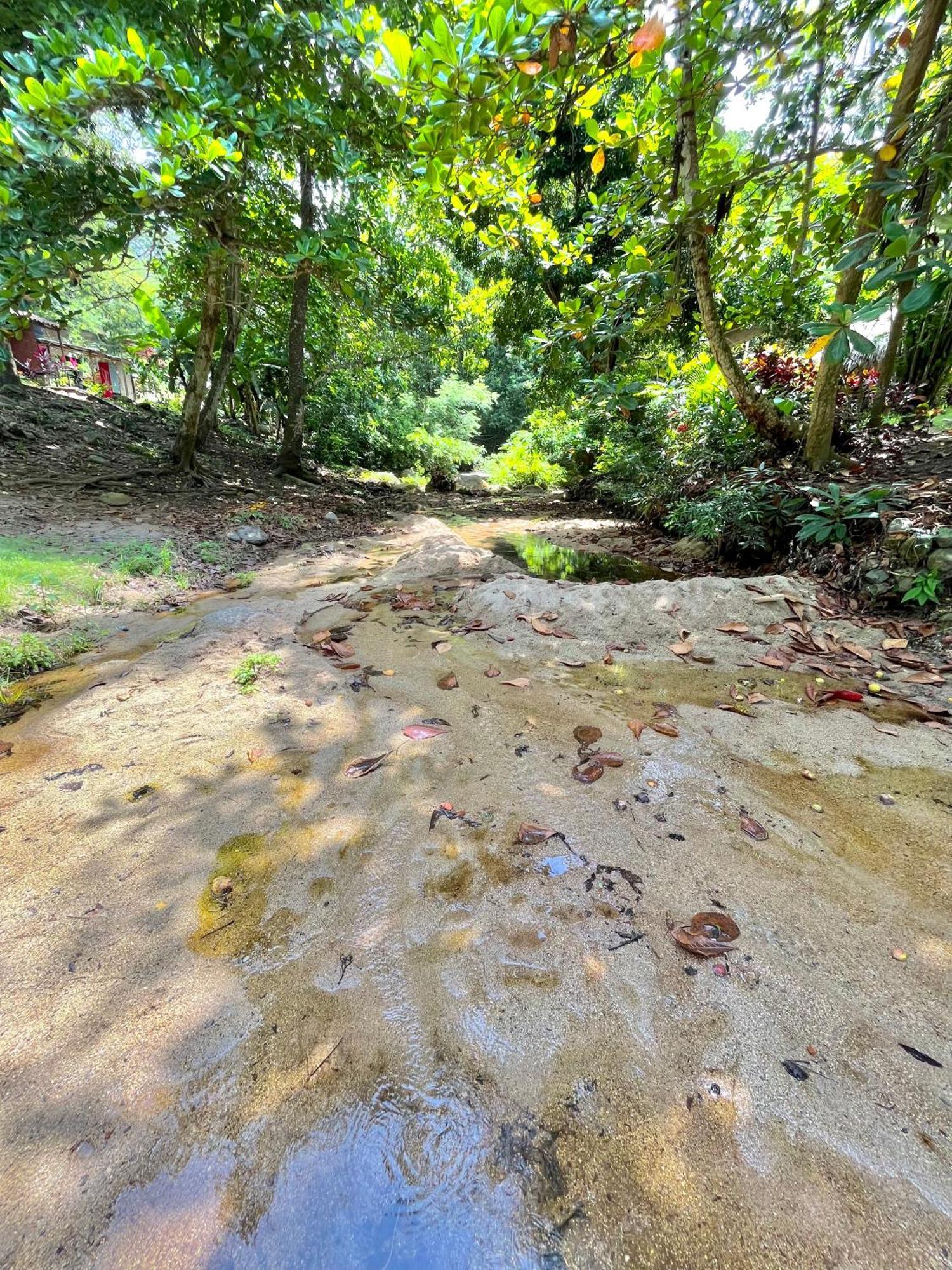 Santuario Tayrona Hostel Calabazo  Zewnętrze zdjęcie