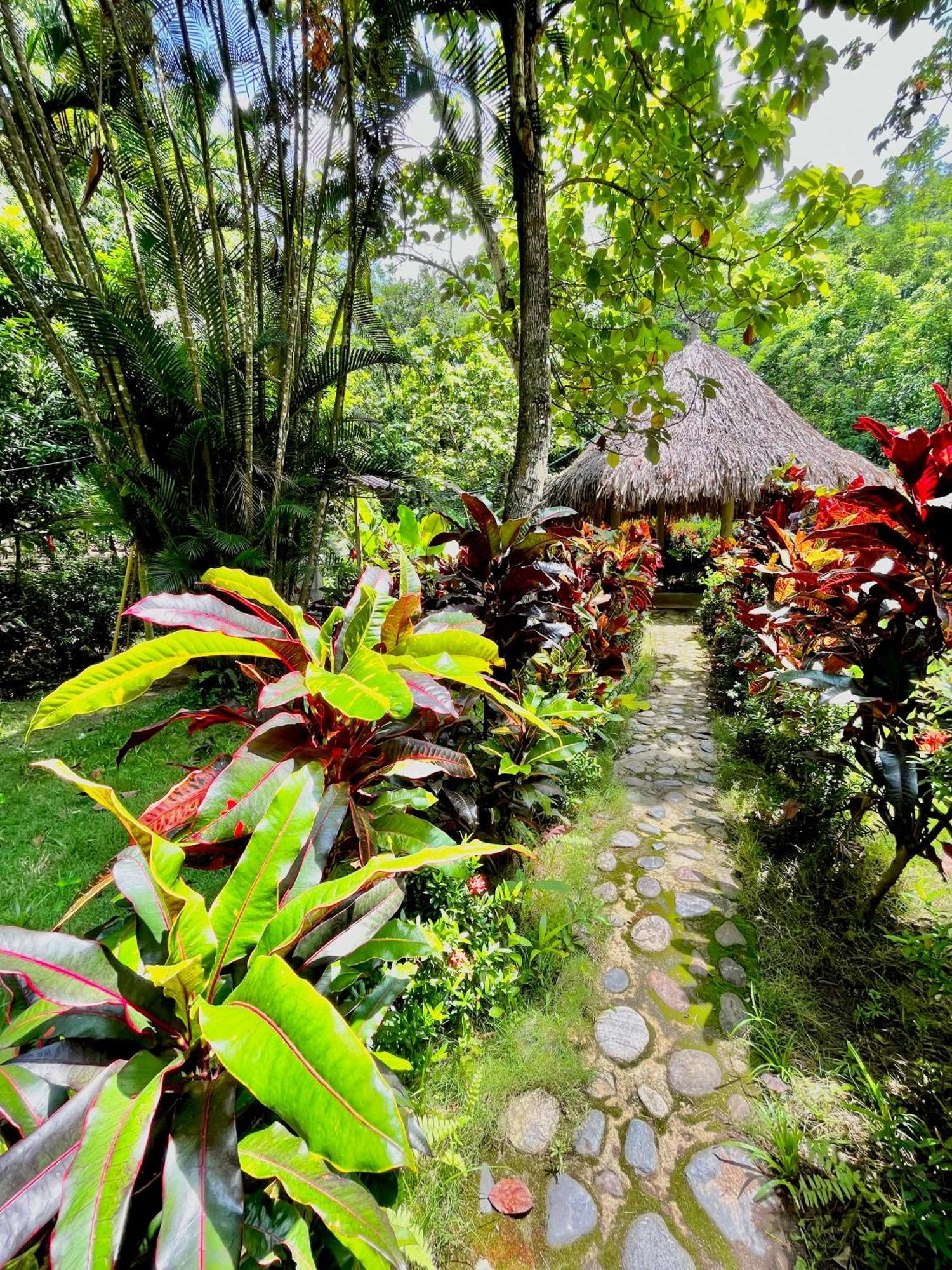 Santuario Tayrona Hostel Calabazo  Zewnętrze zdjęcie